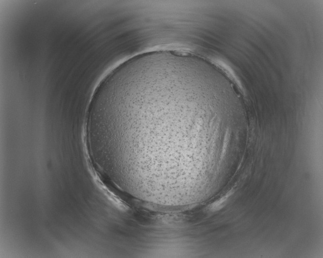 X0000073950952200609111647