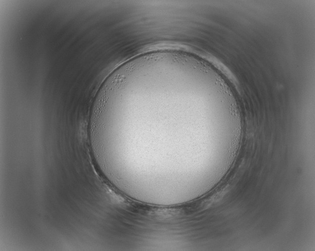 X0000073950953200609111647