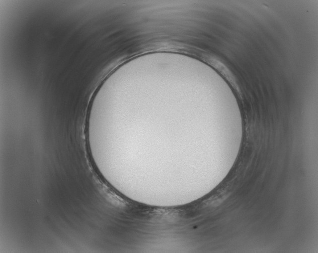 X0000073950954200609111647