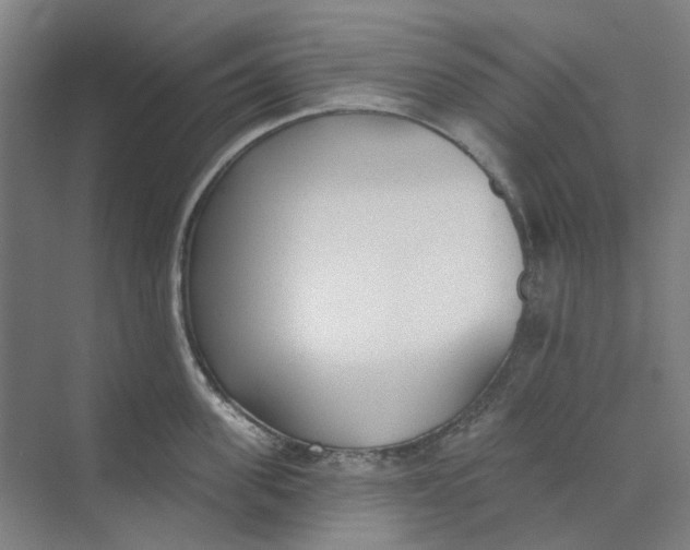 X0000073950955200609111647