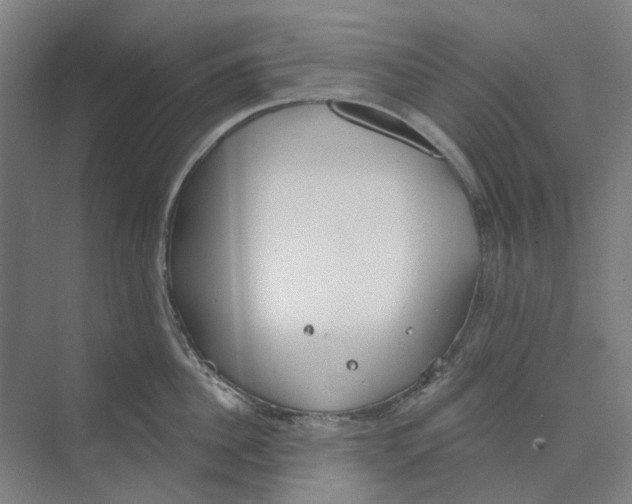 X0000073950956200609111647