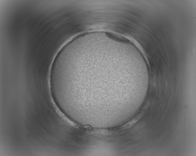 X0000073950957200609111647