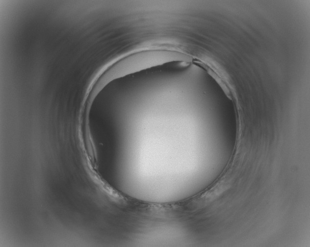 X0000073950960200609111647