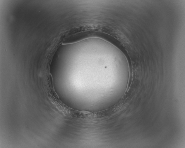 X0000073950961200609111646