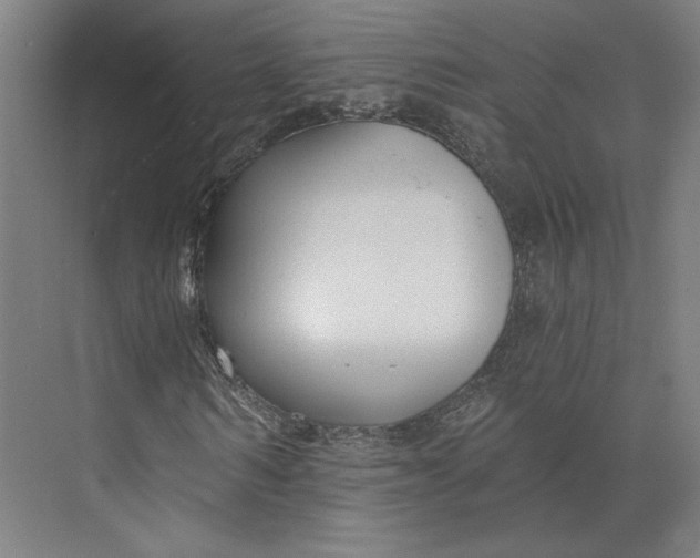 X0000073950962200609111646