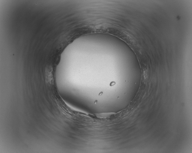 X0000073950963200609111646