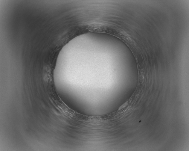 X0000073950964200609111646