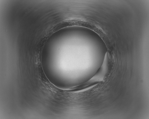 X0000073950965200609111646