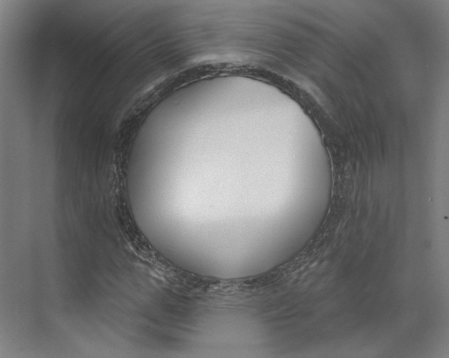 X0000073950967200609111646