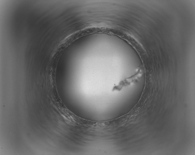 X0000073950968200609111646