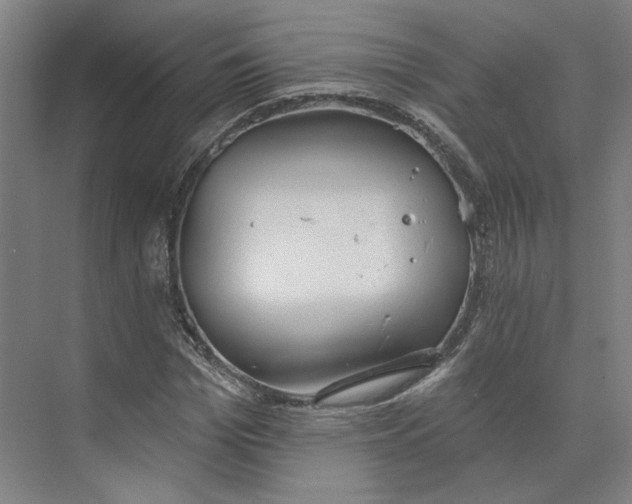 X0000073950969200609111646