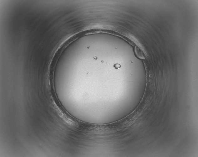 X0000073950972200609111646