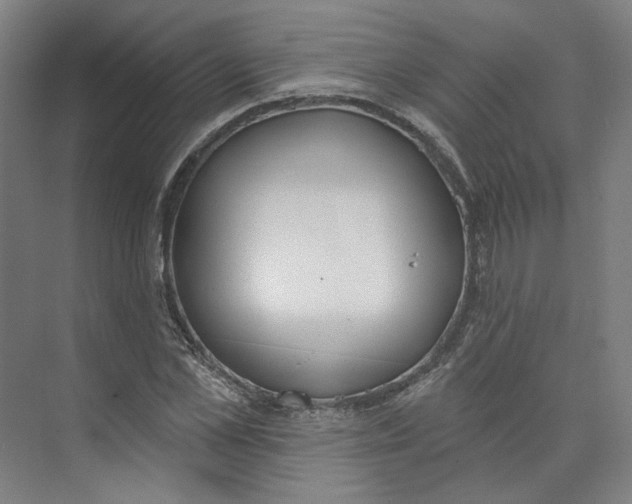 X0000073950973200609111646