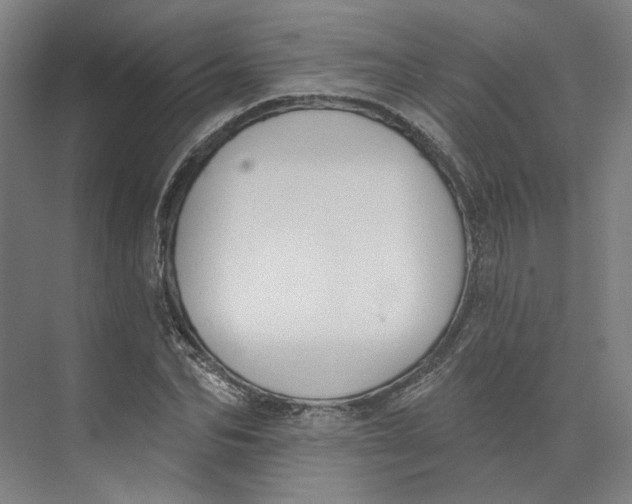 X0000073950974200609111646