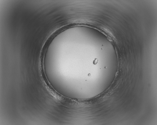 X0000073950976200609111646