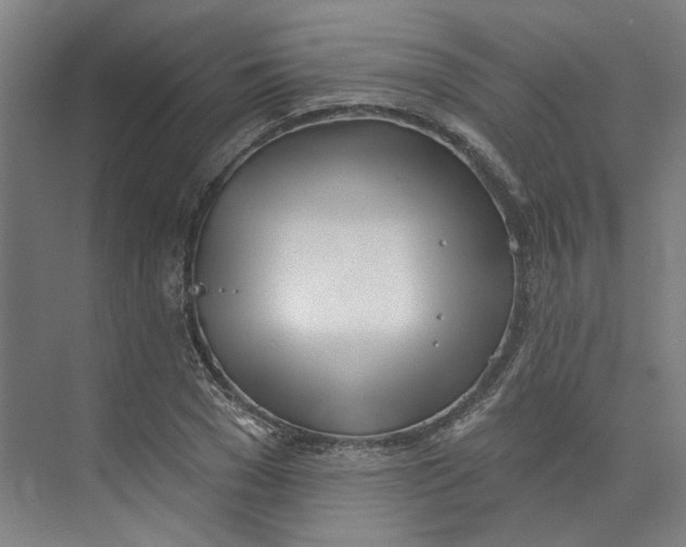 X0000073950977200609111646