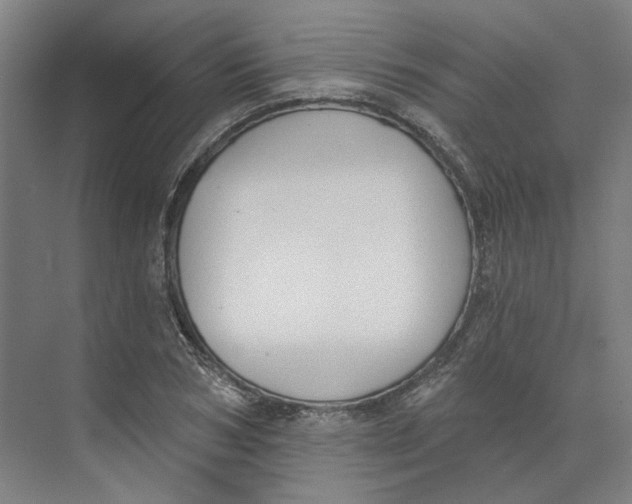 X0000073950978200609111646