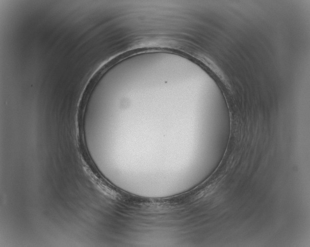 X0000073950980200609111646