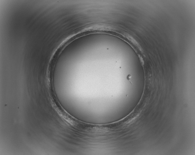 X0000073950981200609111646