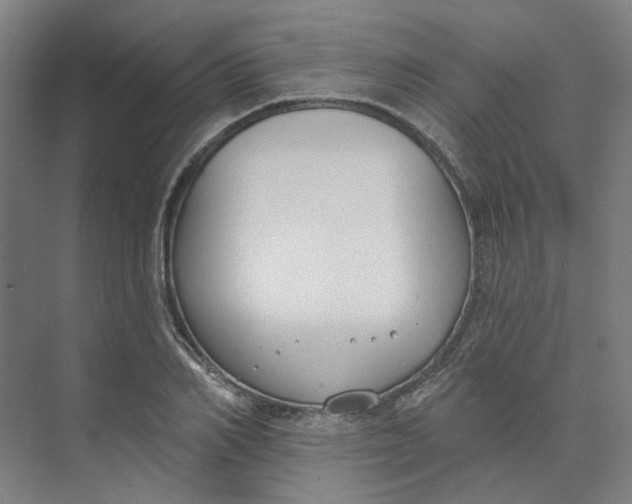 X0000073950982200609111646