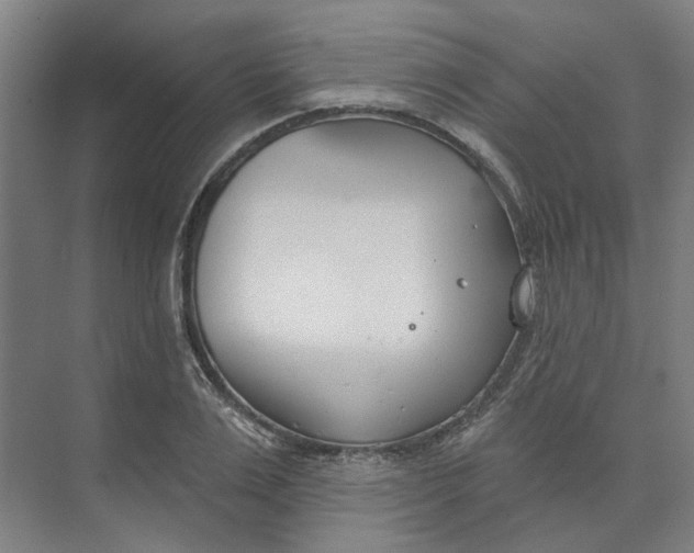 X0000073950983200609111646