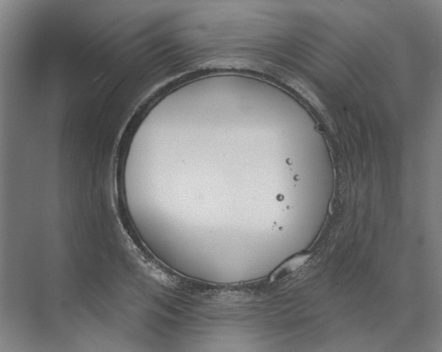 X0000073950984200609111646