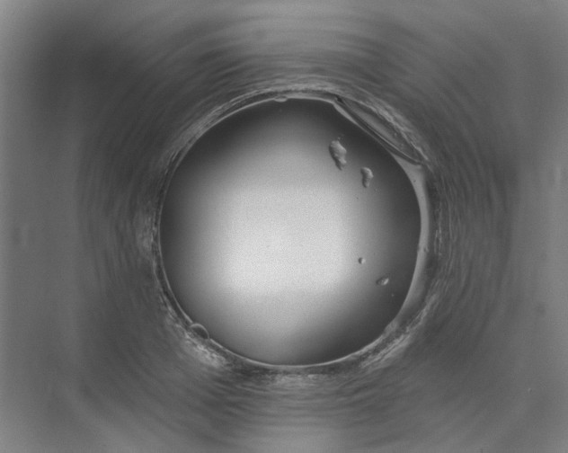 X0000073950985200609111645