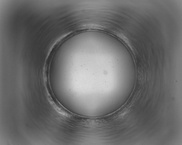 X0000073950987200609111645