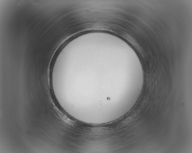 X0000073950988200609111645