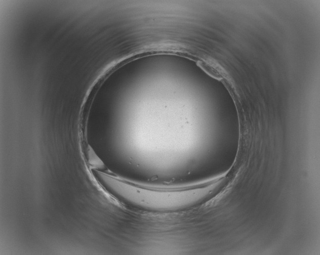 X0000073950989200609111645