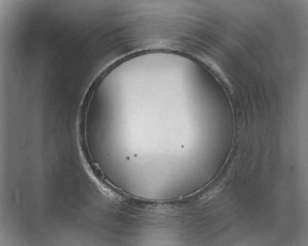 X0000073950991200609111645