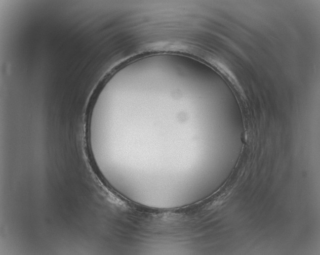 X0000073950992200609111645