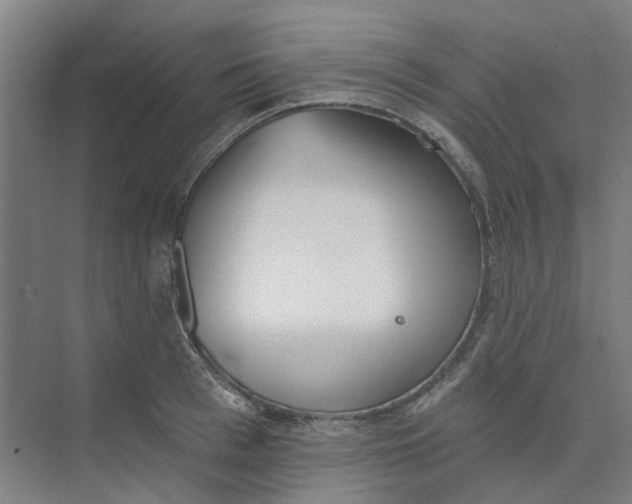 X0000073950993200609111645