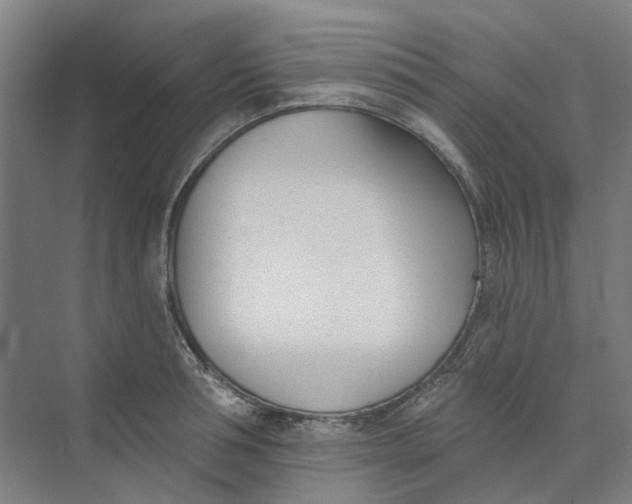 X0000073950994200609111645