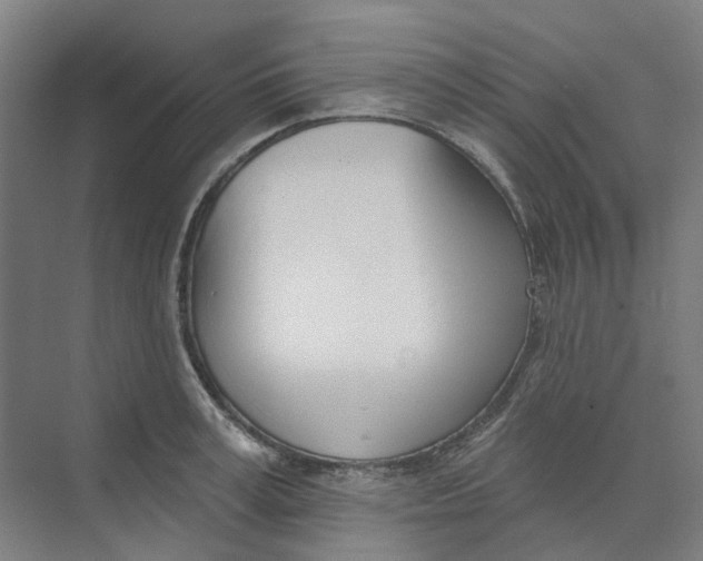 X0000073950995200609111645