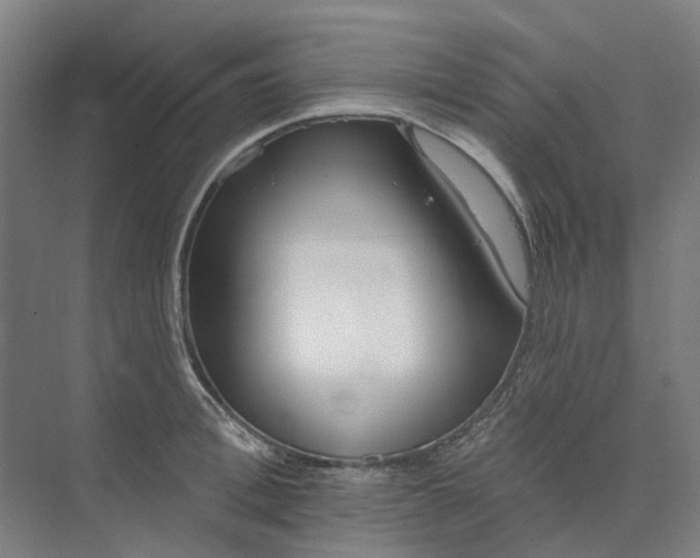 X0000073950996200609111645