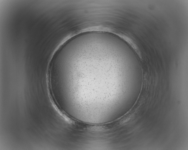 X0000073950998200609111645