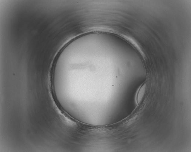 X0000073950999200609111645