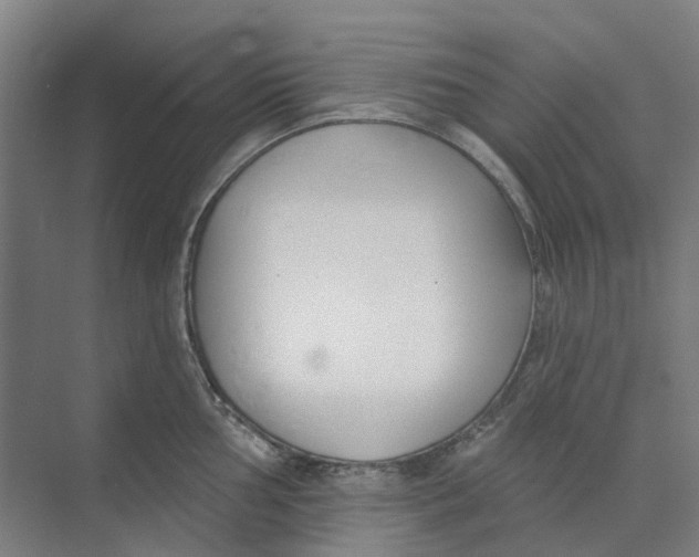 X0000073951002200609111645