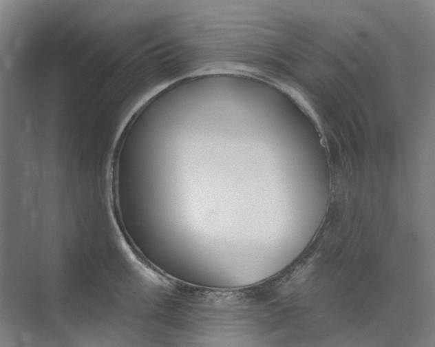 X0000073951003200609111645