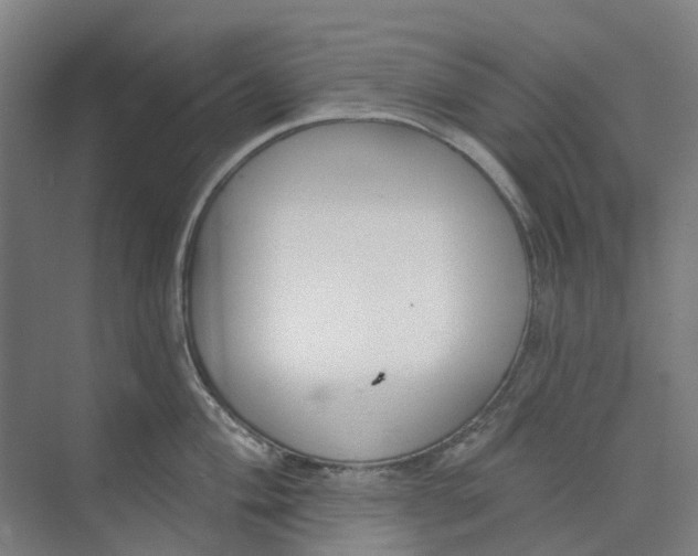 X0000073951004200609111645