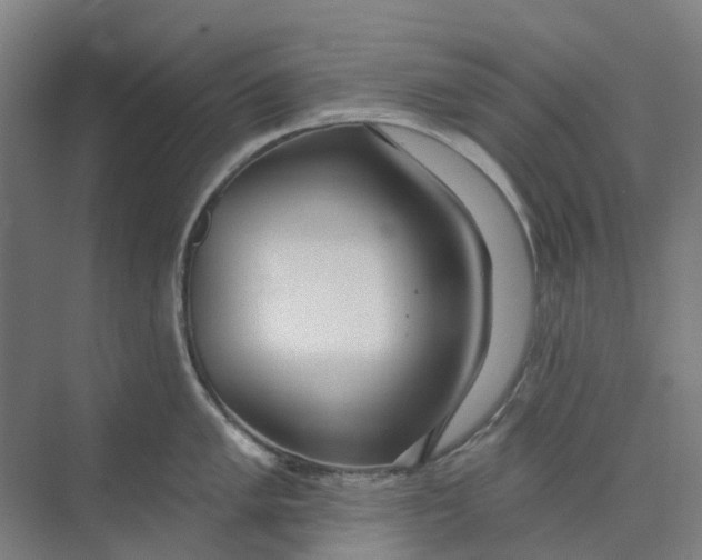 X0000073951005200609111645