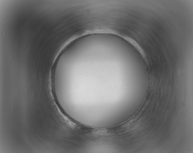 X0000073951006200609111645