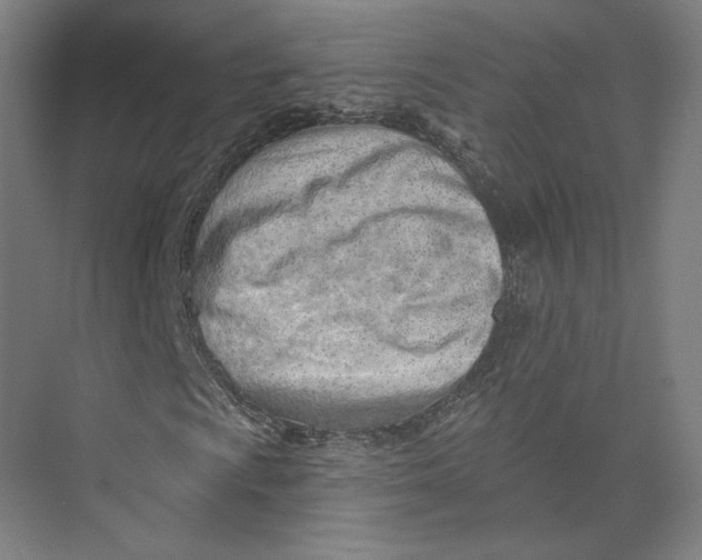 X0000073951009200609111644