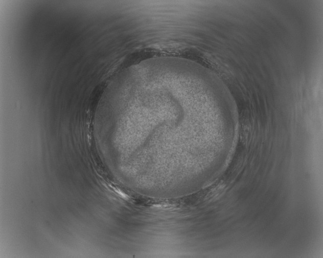 X0000073951010200609111644