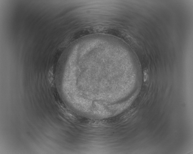 X0000073951011200609111644