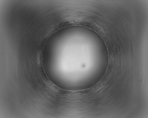 X0000073951012200609111644