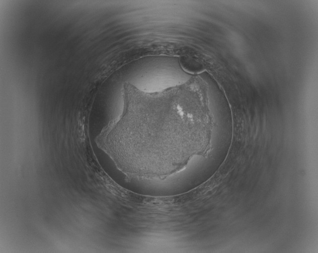 X0000073951013200609111644