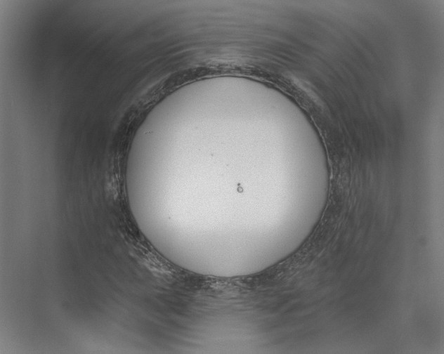 X0000073951015200609111644