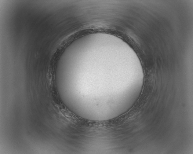 X0000073951016200609111644